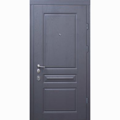 Двери Страж Рубин Prestige Lux 850 Пр дуб графит арт/софт айс